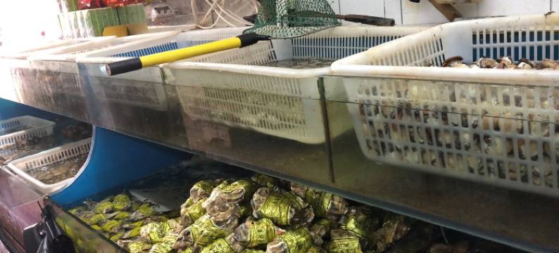 二姐温馨家庭民宿(和月大街分店)图片