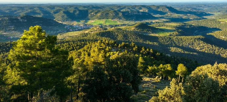 马尔克斯塔酒店及 SPA(Small Luxury Hotels of The World - Torre del Marques)图片