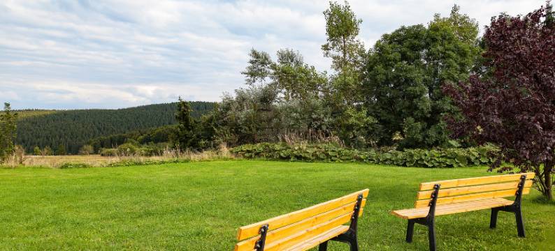 康维格酒店(Hotel Kammweg)图片