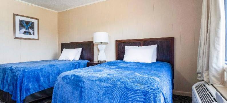 OYO酒店年轮阿尔，花卉公路(OYO Hotel Opp Al, Floral Hwy)图片