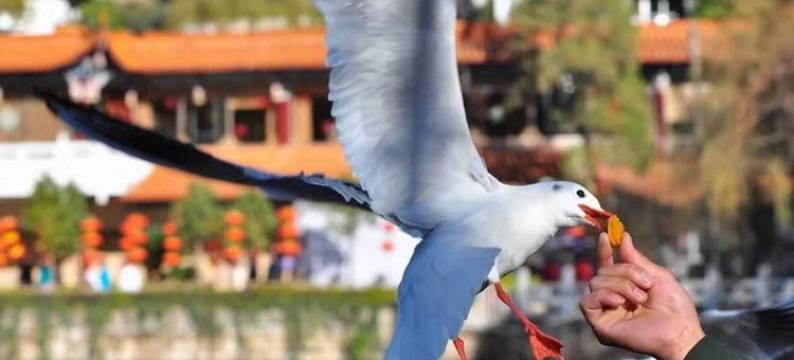 青涩民宿(星雅尚街分店)图片