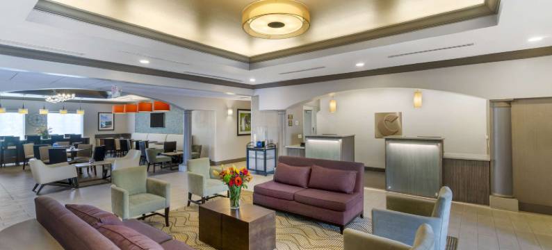 夏洛特港-蓬塔戈尔达舒适套房酒店(Comfort Inn & Suites Port Charlotte-Punta Gorda)图片