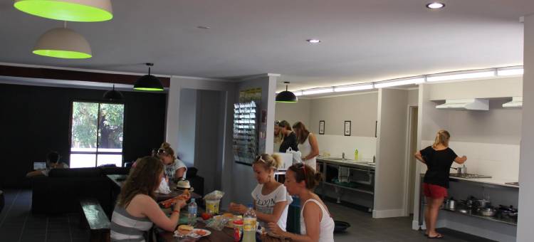 艾尔利基地海滩度假村 - 青年旅馆(Base Backpackers Airlie Beach)图片