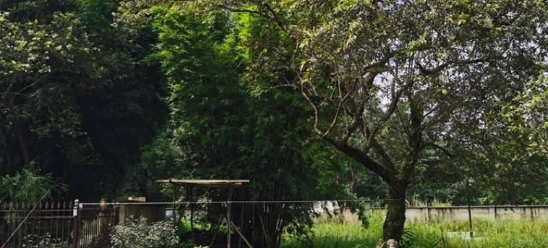 青山窝大掌柜特色民宿图片