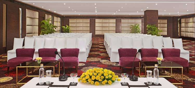 阿格拉丽笙酒店(Radisson Hotel Agra)图片