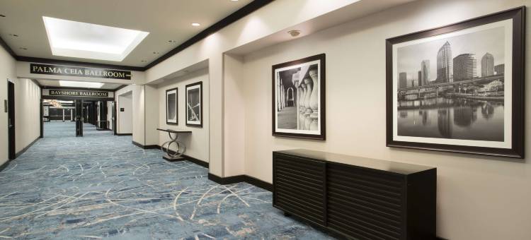 坦帕市中心希尔顿酒店(Hilton Tampa Downtown)图片