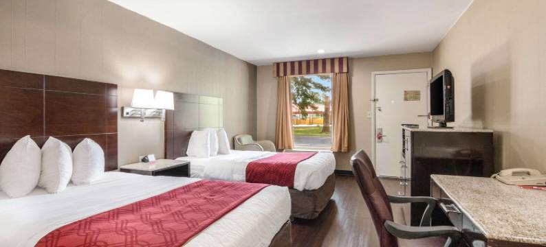 波科莫克市高速公路13号伊克诺旅馆(Econo Lodge Pocomoke City Hwy 13)图片