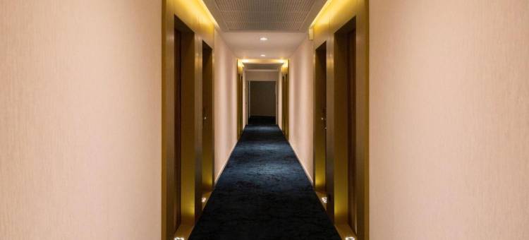 派斯顿巴黎MLV(Paxton Paris MLV)图片