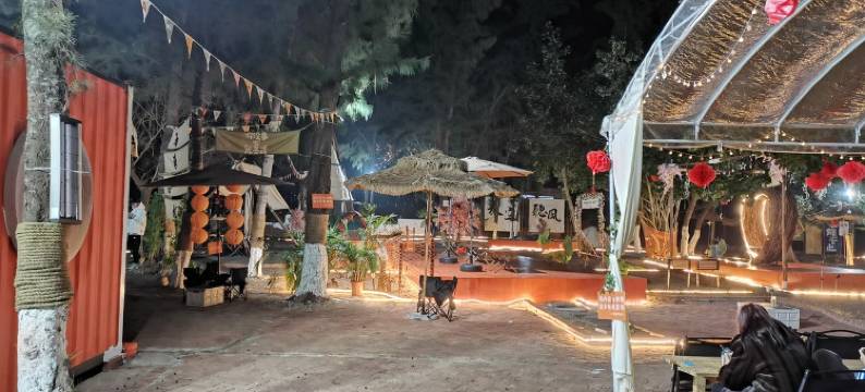 南极村林子民宿图片