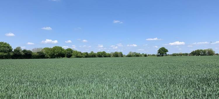 金斯阿姆酒店(The Kings Arms)图片