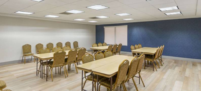 舒适酒店-近圣路易斯六旗(Comfort Inn Near Six Flags St Louis)图片