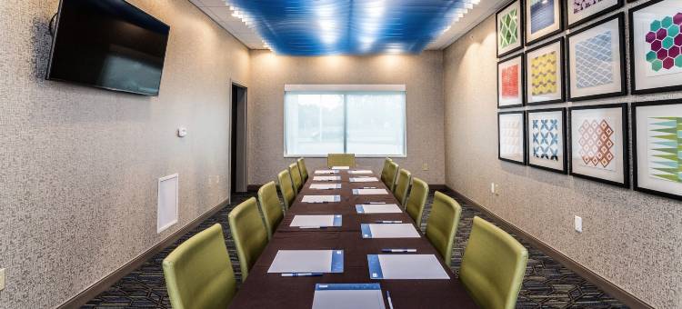 艾伦帕克智选假日套房酒店(Holiday Inn Express & Suites Allen Park)图片