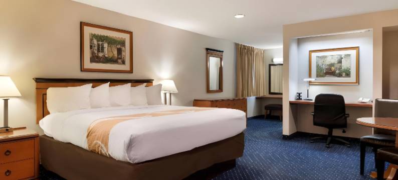 品质酒店奥本希尔斯-底特律北部(Quality Inn Auburn Hills - Detroit North)图片