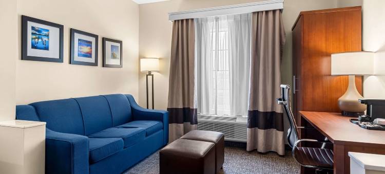 舒适套房-近勒吉恩营(Comfort Suites Near Camp Lejeune)图片