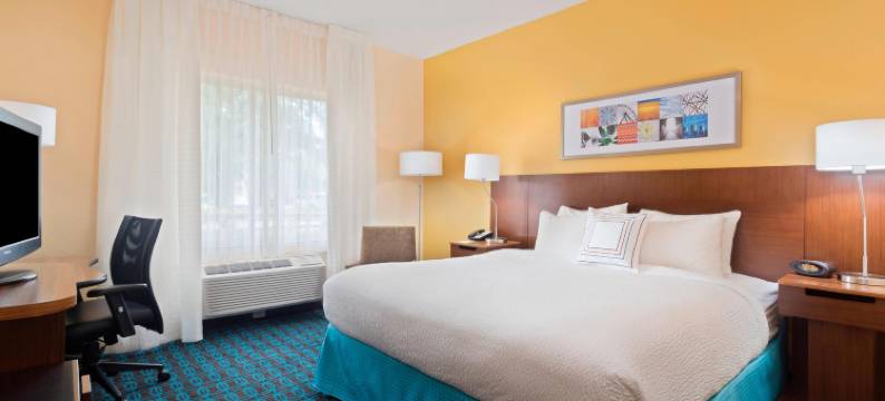 坦帕布兰登万枫酒店及套房(Fairfield Inn & Suites Tampa Brandon)图片