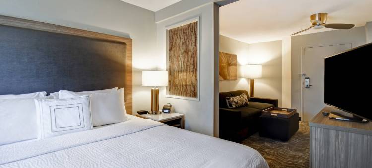 亚特兰大肯纳瑟SpringHill套房酒店(SpringHill Suites Atlanta Kennesaw)图片