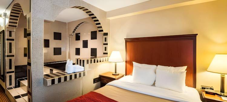 舒适酒店(Comfort Inn)图片
