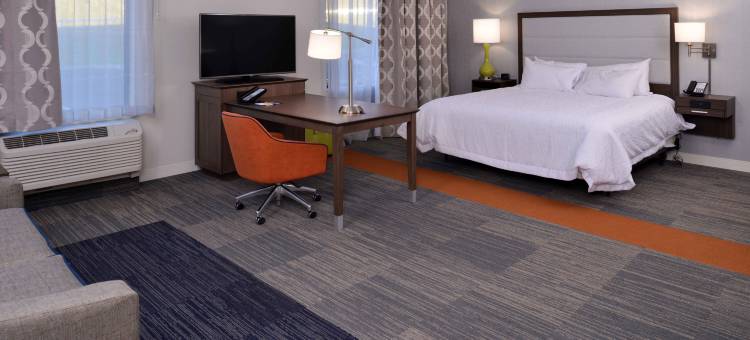 纽约奥尔巴尼东格林布什套房欢朋酒店(Hampton Inn & Suites Albany/East Greenbush)图片