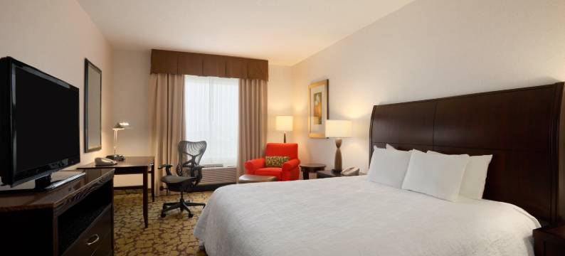 埃德蒙顿国际机场希尔顿花园酒店(Hilton Garden Inn Edmonton International Airport)图片