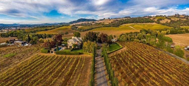 Awesome Hilltop Views, Pool, Vineyards, Olive Trees, 5 mins to Healdsburg图片