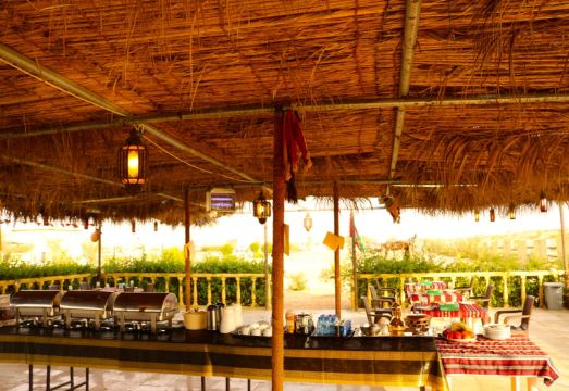 Golden Palm Oasis Royal Palm Classic SuiteHotel Overview