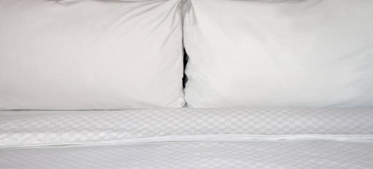 福朋喜来登里贾纳酒店(Four Points by Sheraton Regina)图片