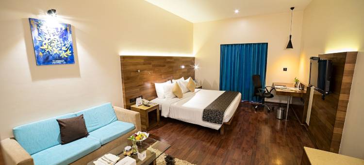 浦那辛吉瓦蒂兰花酒店(The Orchid Hotel Hinjewadi Pune)图片