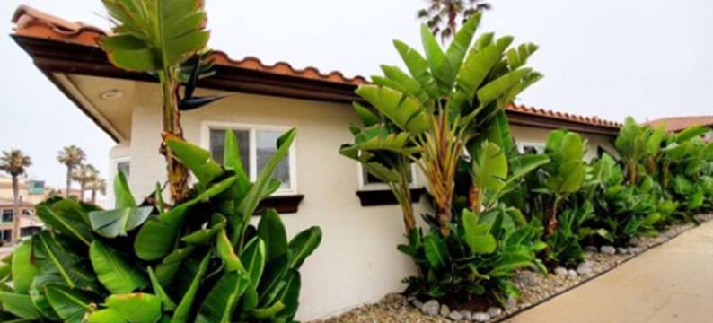 洛斯平房(Los Bungalows)图片