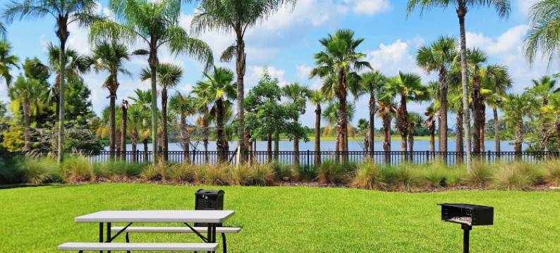 卡迪夫城堡(Cardif Castle)图片