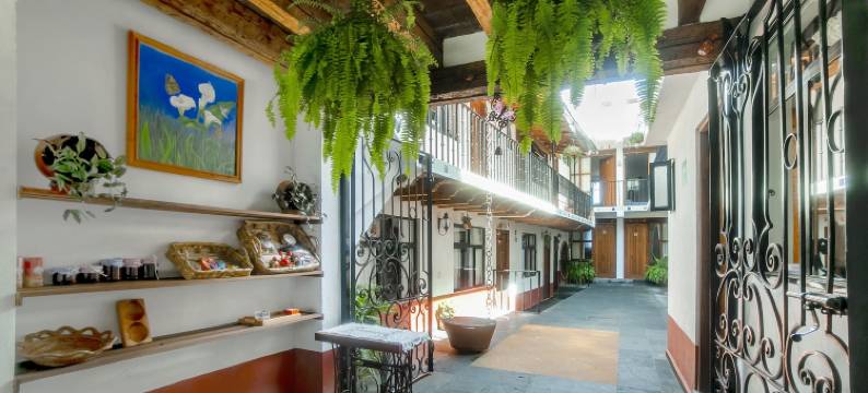 布拉沃谷波尼托谷酒店(Hotel Valle Bonito, Valle de Bravo)图片