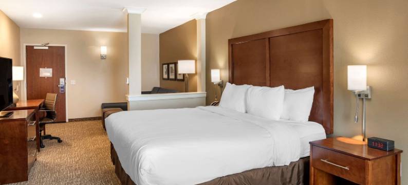 舒适套房酒店(Comfort Inn & Suites)图片