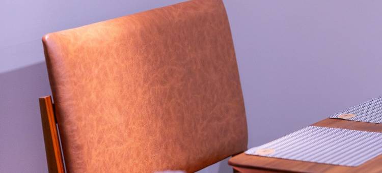 卡尤瓦布卢梅瑙酒店(Hotel Caiuá Blumenau)图片