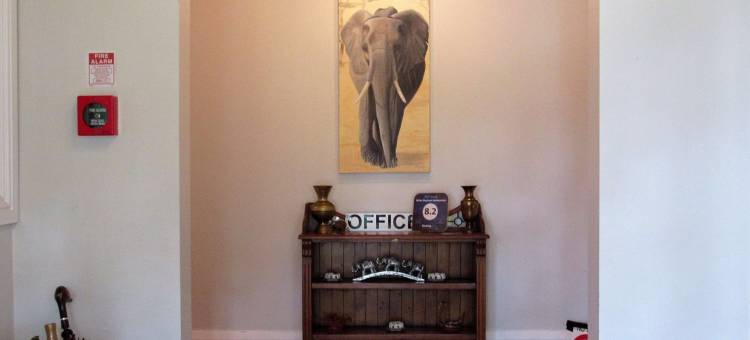 白象住宿-旅馆(White Elephant Accommodation)图片