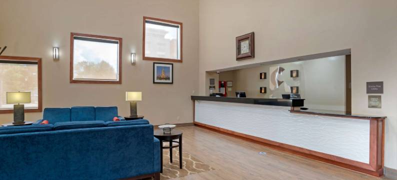 大学区舒适酒店(Comfort Inn University Area)图片