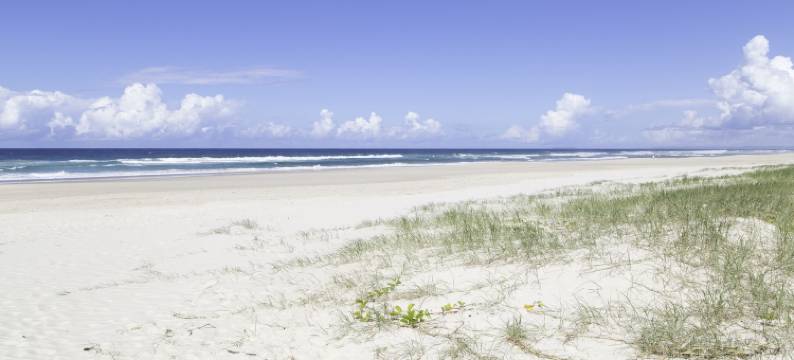 漂泊公寓特维德海滨假日酒店(Drift Apartments - Tweed Coast Holidays ®)图片