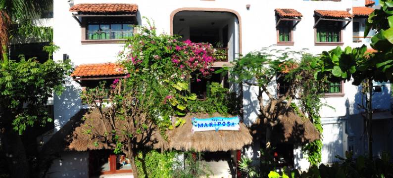 波萨达马里博精萨精品酒店(Posada Mariposa Boutique Hotel - 5th Avenue)图片