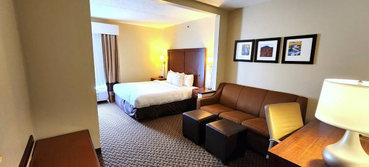 舒适套房酒店(Comfort Inn & Suites Mount Pocono)图片