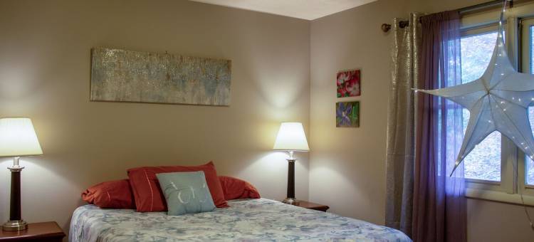 巨大庄园带室内热水浴缸和台球桌(Huge Manor w Indoor Hot Tub and Pool Table)图片