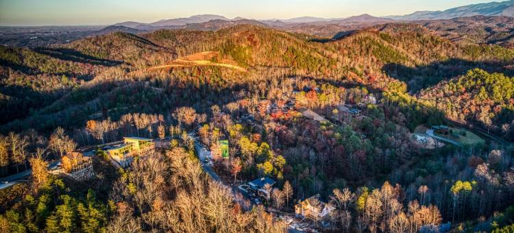精致度假屋 室内泳池影院(Paradise Pointe Pool Lodge by Beyond Expectations)图片