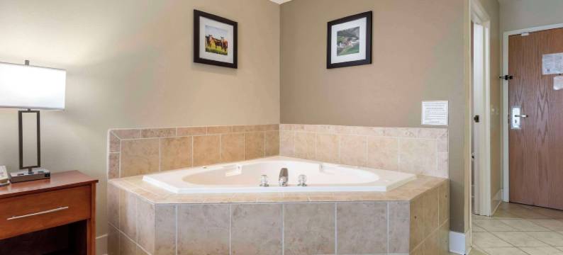 布莱克里弗福尔斯I-94舒适套房酒店(Comfort Inn & Suites Black River Falls I-94)图片