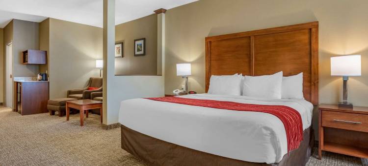 舒适套房酒店-近拉什莫尔山(Comfort Inn & Suites Near Mt Rushmore)图片