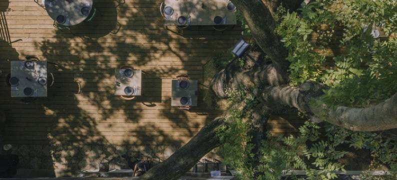 塞文山脉车库旅馆(L'Hotel du Garage des Cevennes)图片