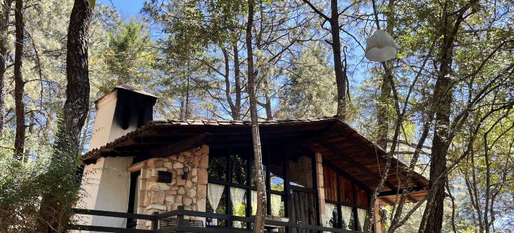 蒙特维多酒店(Monteverde)图片