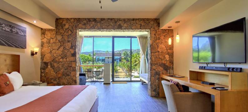 瓜达卢佩谷精品酒店和水疗中心(Hotel Boutique Valle de Guadalupe & Spa)图片