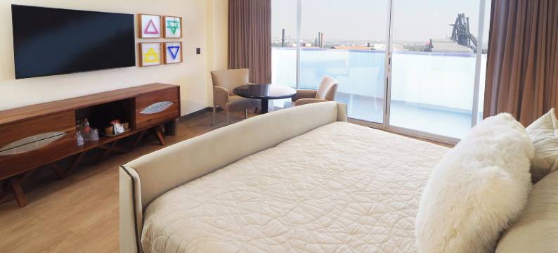 方迪多拉蒙特雷公园假日酒店(Holiday Inn MONTERREY-PARQUE FUNDIDORA by IHG)图片