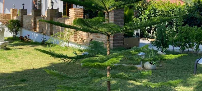 卢斯阿尔莫纳斯特酒店(Hotel Luz Almonaster)图片