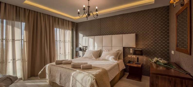 优雅奢华行政套房酒店-限成人(Elegance Luxury Executive Suites - Adults Only)图片