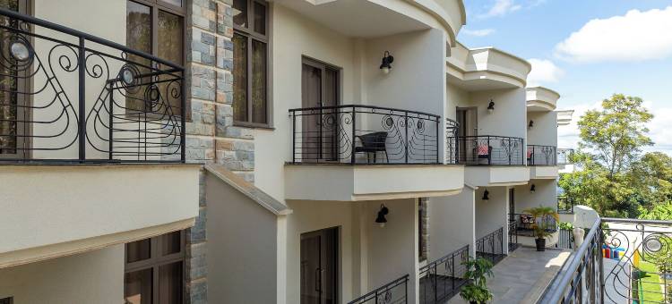 梅鲁艾尔巴酒店(Alba Hotel Meru)图片