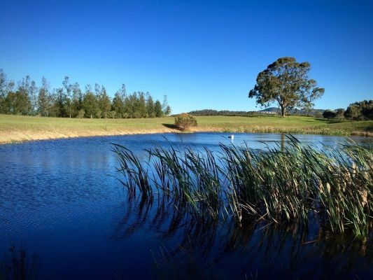 Grapevines Boutique AccommodationOver view