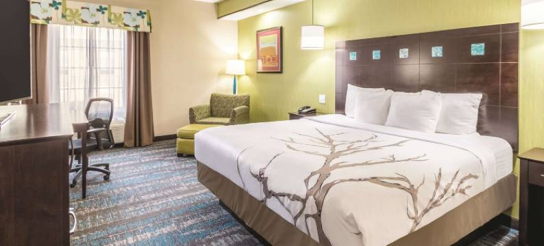 达拉斯大草原城南部拉昆塔温德姆套房酒店(La Quinta Inn & Suites by Wyndham Dallas Grand Prairie South)图片